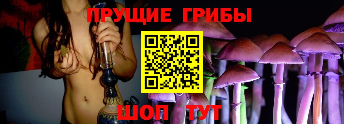 Псилоцибиновые грибы ЛСД  Псилоцибиновые грибы мухоморы  Вход с VPN  купить наркоту  Тамбов 